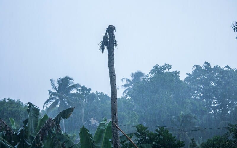 hurricane in jamaica
