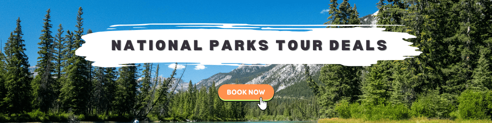 national parks banner