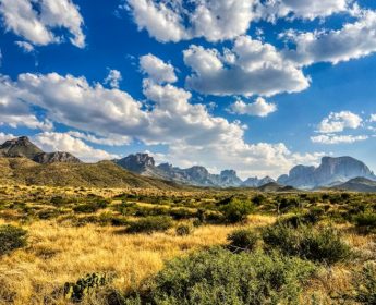 Big Bend National Park