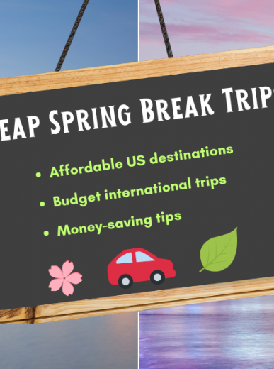 Netherlands Tulip Season 2026: Best Time & Top Places