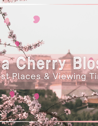 Where Was Knives Out Filmed? Guide To All 3 Movies