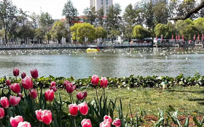kunming green lake