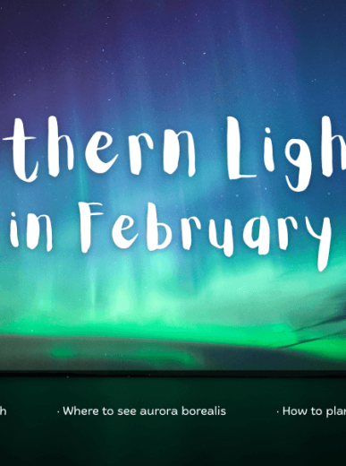 US Cities With The Best Chinese New Year Parade 2026