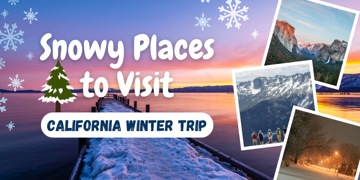 Top 10 Snowy Places in California to Visit This Winter