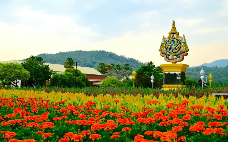 Chiang Mai