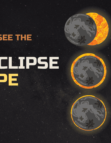 FIFA World Cup 2026: Full Schedule, Host Cities & Tickets