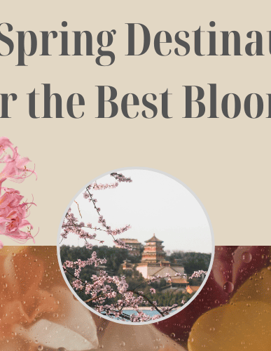 Best Places to Celebrate Songkran 2026 in Thailand