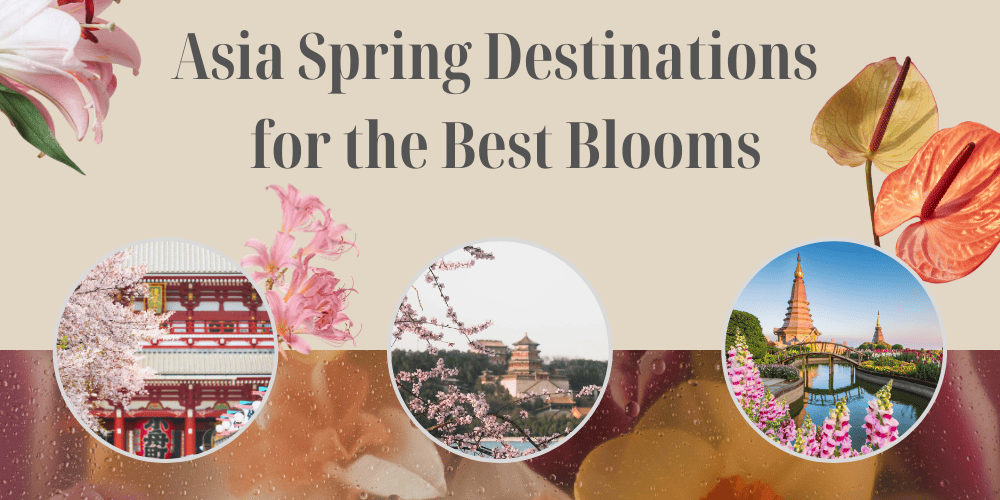 16 Stunning Asia Spring Destinations for the Best Blooms