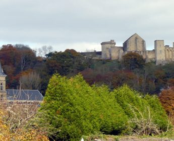 Chevreuse