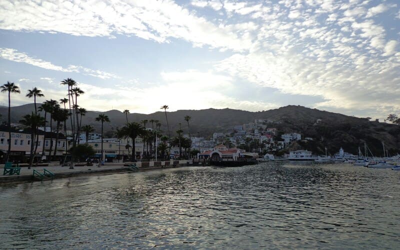 Santa Catalina Island, California 